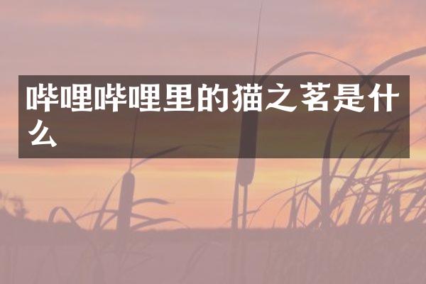 哔哩哔哩里的猫之茗是什么