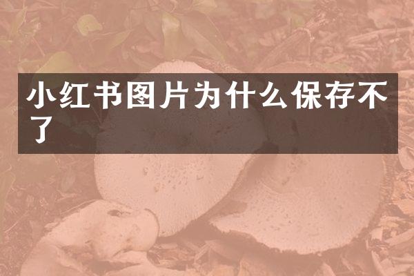 小红书图片为什么保存不了