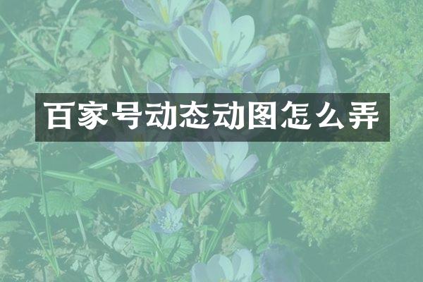 百家号动态动图怎么弄