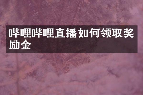哔哩哔哩直播如何领取奖励金