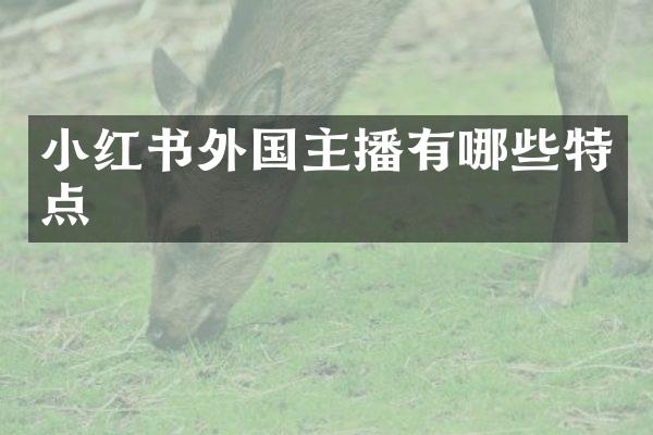 小红书外国主播有哪些特点