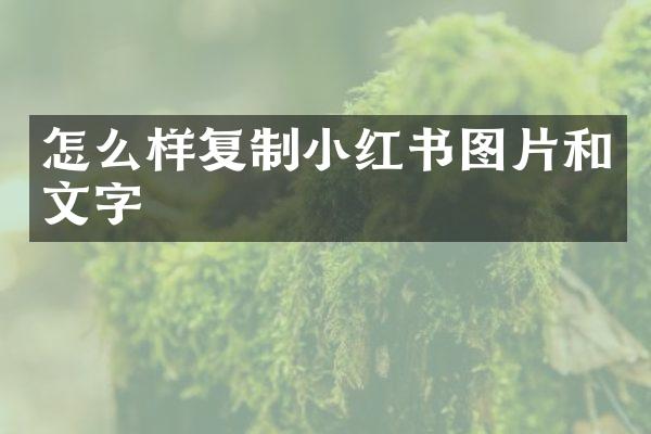 怎么样复制小红书图片和文字
