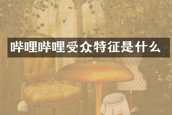 哔哩哔哩受众特征是什么