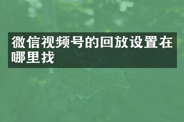 微信视频号的回放设置在哪里找