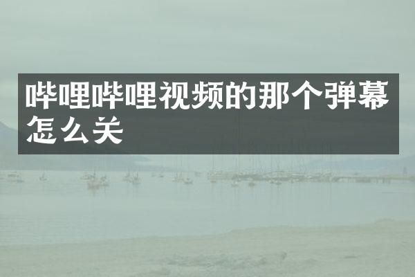 哔哩哔哩视频的那个弹幕怎么关