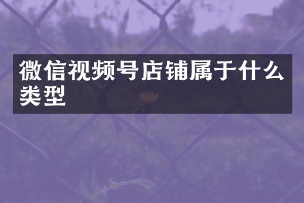 微信视频号店铺属于什么类型