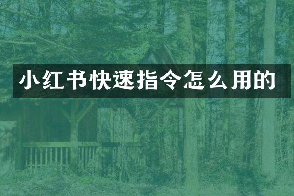 小红书快速指令怎么用的