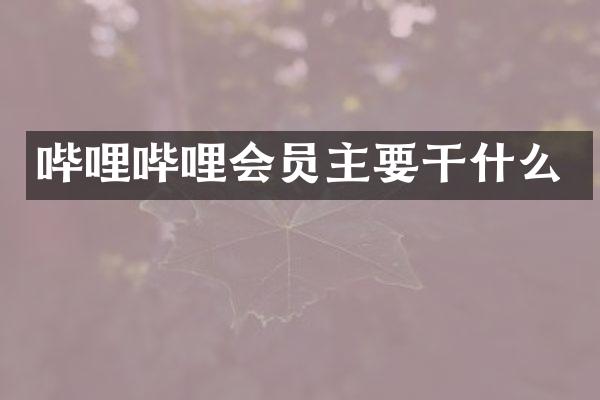哔哩哔哩会员主要干什么