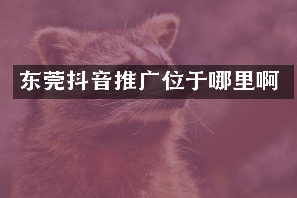 东莞抖音推广位于哪里啊