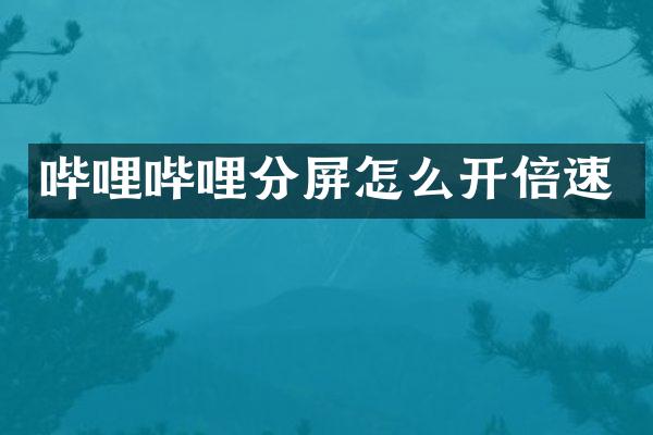 哔哩哔哩分屏怎么开倍速