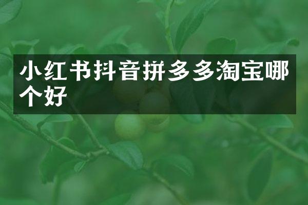 小红书抖音拼多多淘宝哪个好
