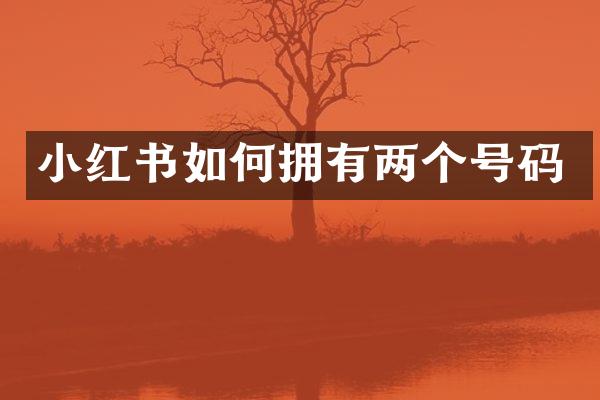 小红书如何拥有两个号码