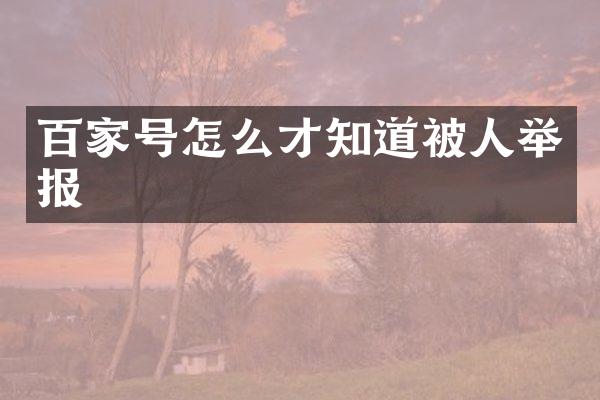 百家号怎么才知道被人举报
