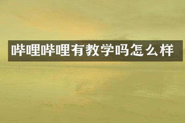 哔哩哔哩有教学吗怎么样