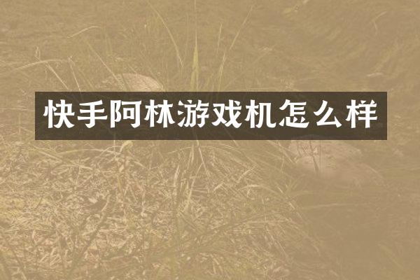 快手阿林游戏机怎么样
