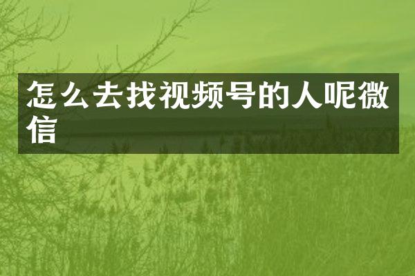 怎么去找视频号的人呢微信