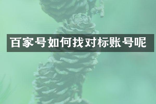 百家号如何找对标账号呢
