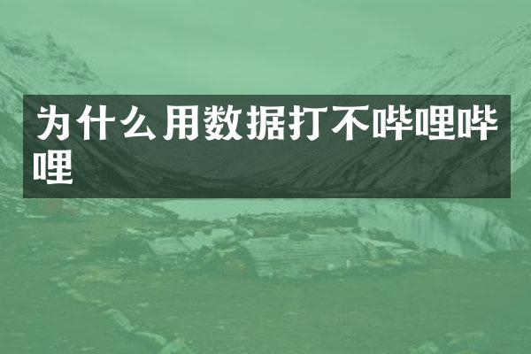 为什么用数据打不哔哩哔哩