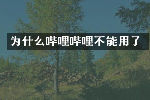 为什么哔哩哔哩不能用了