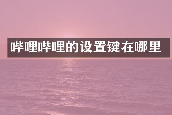 哔哩哔哩的设置键在哪里
