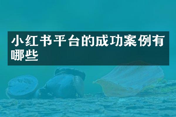 小红书平台的成功案例有哪些
