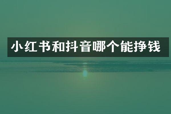 小红书和抖音哪个能挣钱