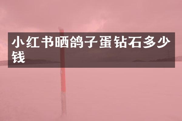 小红书晒鸽子蛋钻石多少钱