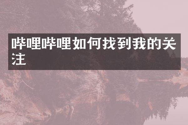 哔哩哔哩如何找到我的关注