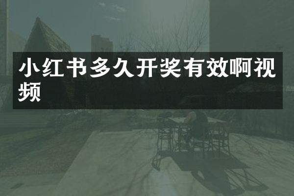 小红书多久开奖有效啊视频