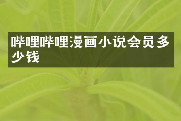 哔哩哔哩漫画小说会员多少钱