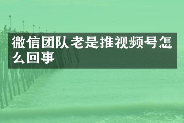 微信团队老是推视频号怎么回事