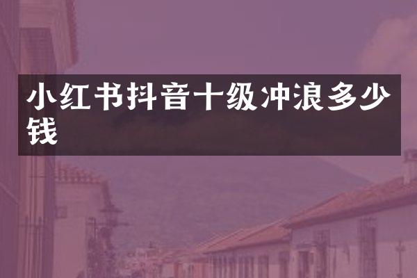 小红书抖音十级冲浪多少钱