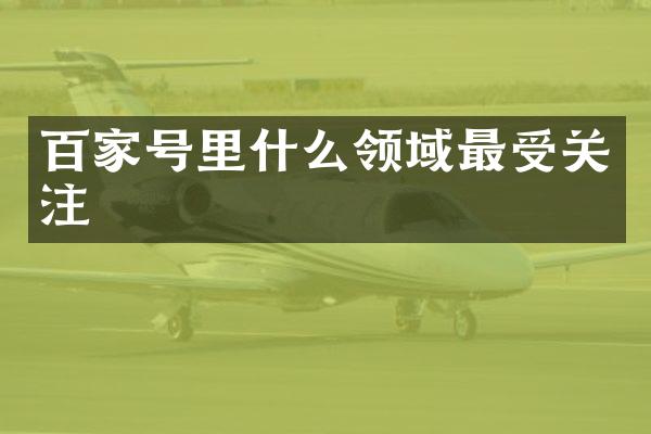 百家号里什么领域最受关注