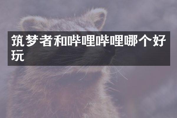 筑梦者和哔哩哔哩哪个好玩