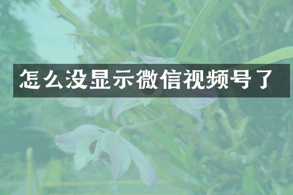 怎么没显示微信视频号了