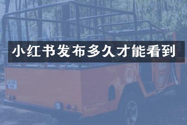 小红书发布多久才能看到