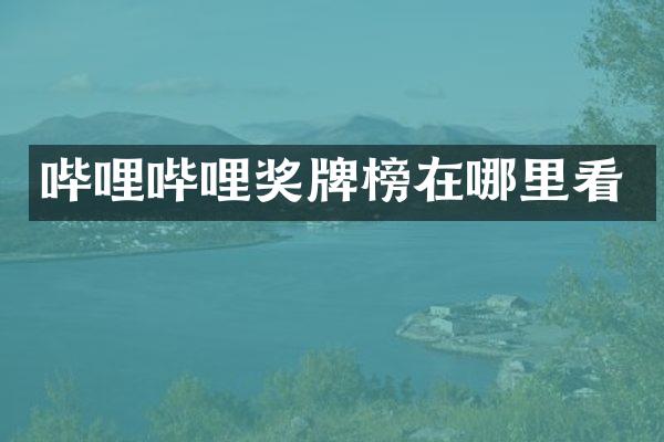 哔哩哔哩奖牌榜在哪里看