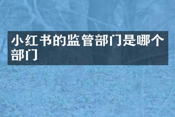小红书的监管部门是哪个部门