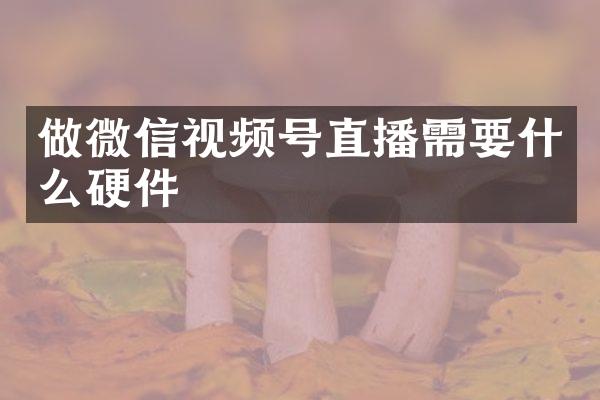 做微信视频号直播需要什么硬件