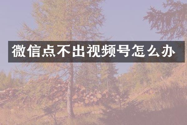 微信点不出视频号怎么办