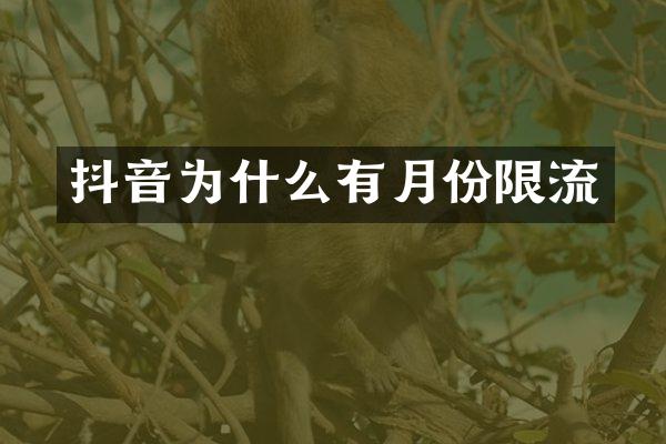 抖音为什么有月份限流