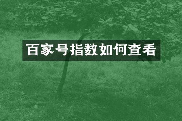 百家号指数如何查看