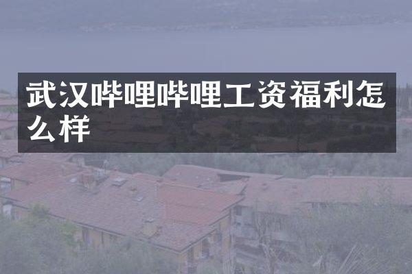 武汉哔哩哔哩工资福利怎么样