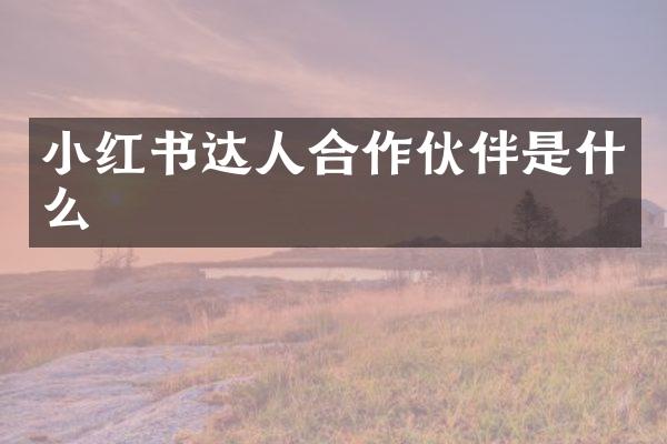 小红书达人合作伙伴是什么