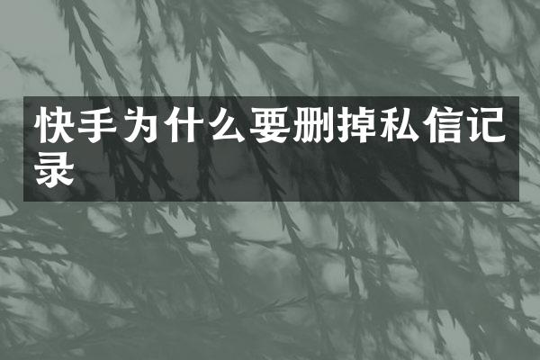 快手为什么要删掉私信记录