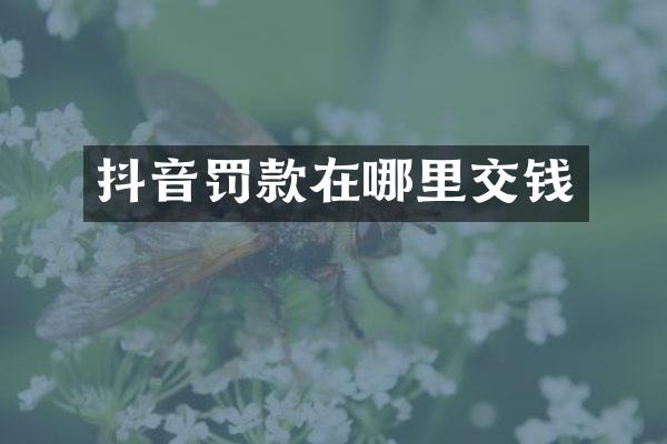 抖音罚款在哪里交钱