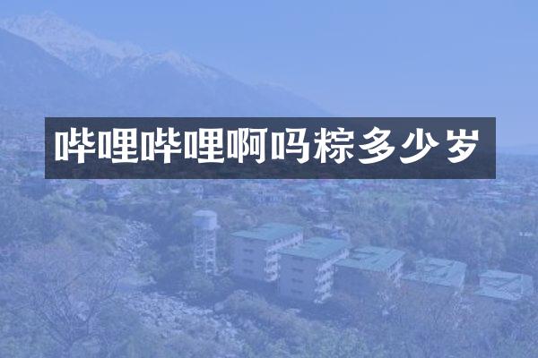 哔哩哔哩啊吗粽