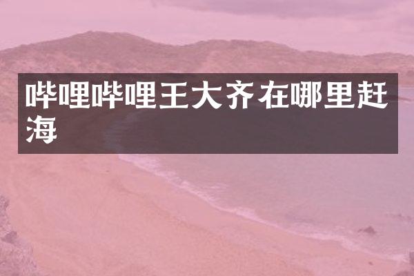 哔哩哔哩王大齐在哪里赶海