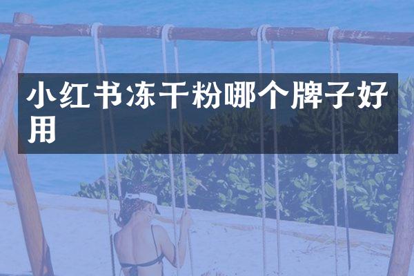 小红书冻干粉哪个牌子好用