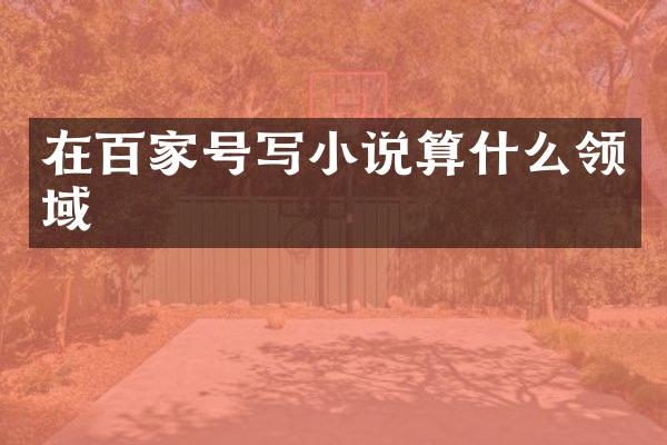 在百家号写小说算什么领域
